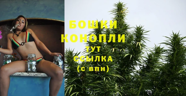 MESCALINE Бородино