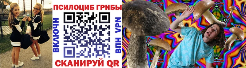 Купить закладки  Оленегорск  Псилоцибиновые грибы Magic Shrooms 